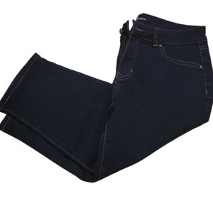 d. jeans Indigo Denim Pants